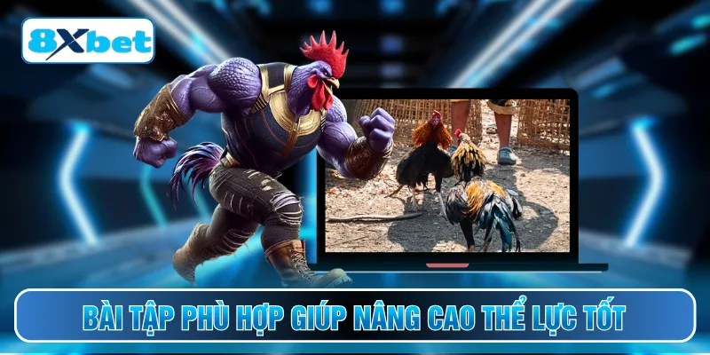 Bài tập phù hợp giúp nâng cao thể lực tốt