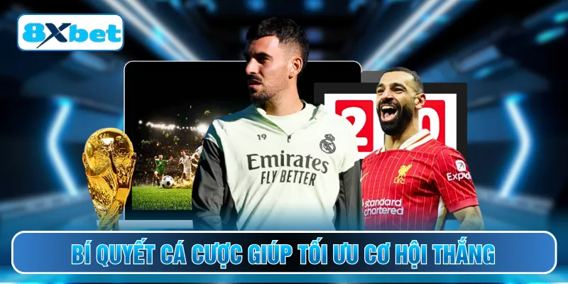 Bí quyết cá cược giúp tối ưu cơ hội thắng