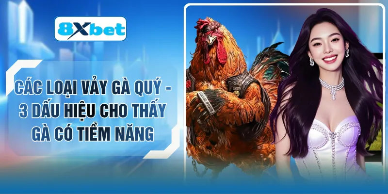 Các Loại Vảy Gà Quý - 3 Dấu Hiệu Cho Thấy Gà Có Tiềm Năng