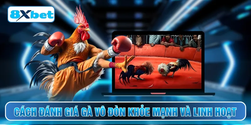 Cách đánh giá gà vô đòn khỏe mạnh và linh hoạt