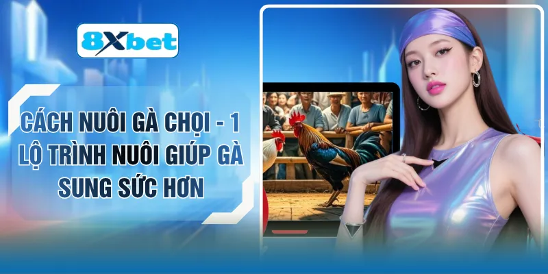 Cách Nuôi Gà Chọi - 1 Lộ Trình Nuôi Giúp Gà Sung Sức Hơn