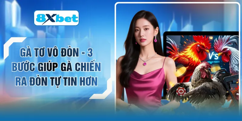 Gà Tơ Vô Đòn - 3 Bước Giúp Gà Chiến Ra Đòn Tự Tin Hơn