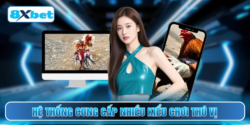 Hệ thống cung cấp nhiều kiểu chơi thú vị