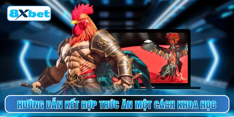 Hướng dẫn kết hợp thức ăn một cách khoa học