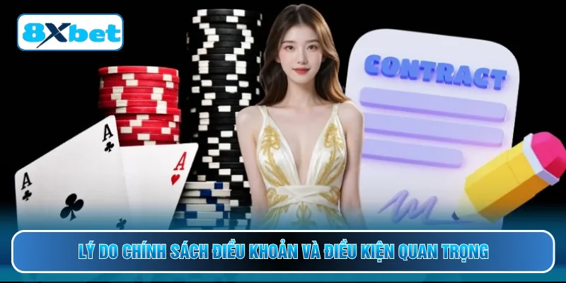Lý do chính sách điều khoản và điều kiện quan trọng