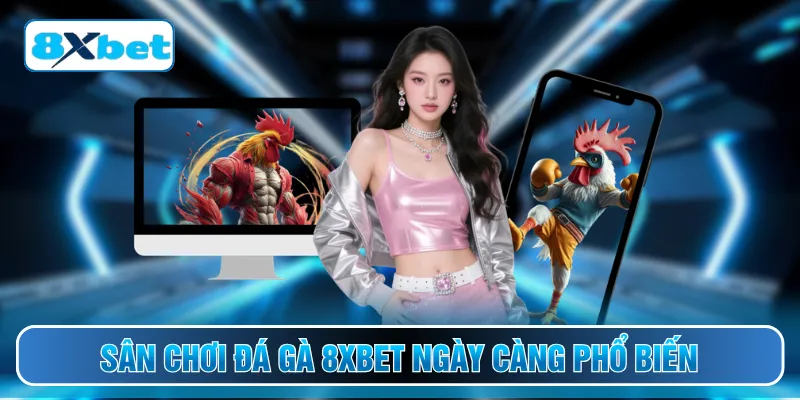 Sân chơi đá gà 8XBET ngày càng phổ biến