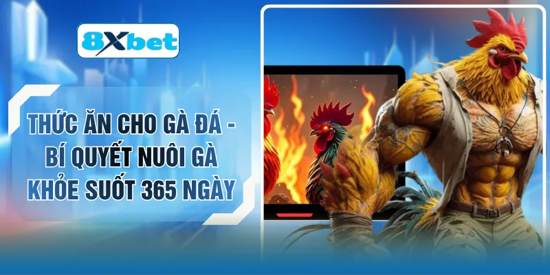 Thức Ăn Cho Gà Đá - Bí Quyết Nuôi Gà Khỏe Suốt 365 Ngày