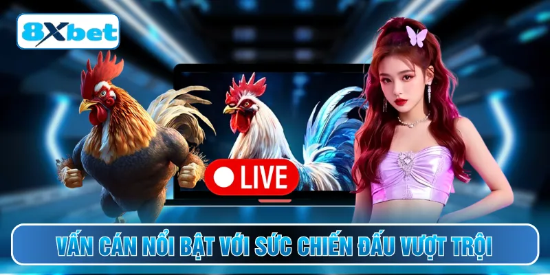 Vấn cán nổi bật với sức chiến đấu vượt trội