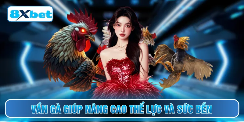Vần gà giúp nâng cao thể lực và sức bền