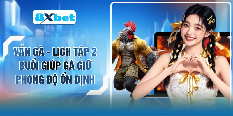 Vần Gà - Lịch Tập 2 Buổi Giúp Gà Giữ Phong Độ Ổn Định